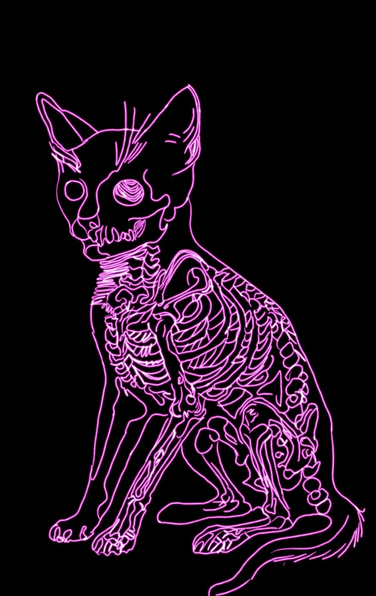 Neon Kitty (digital product)